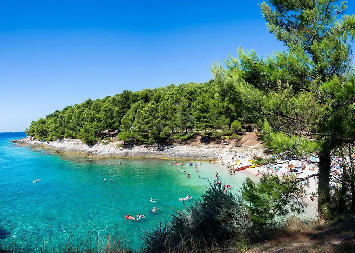 Apartman Matis Near *